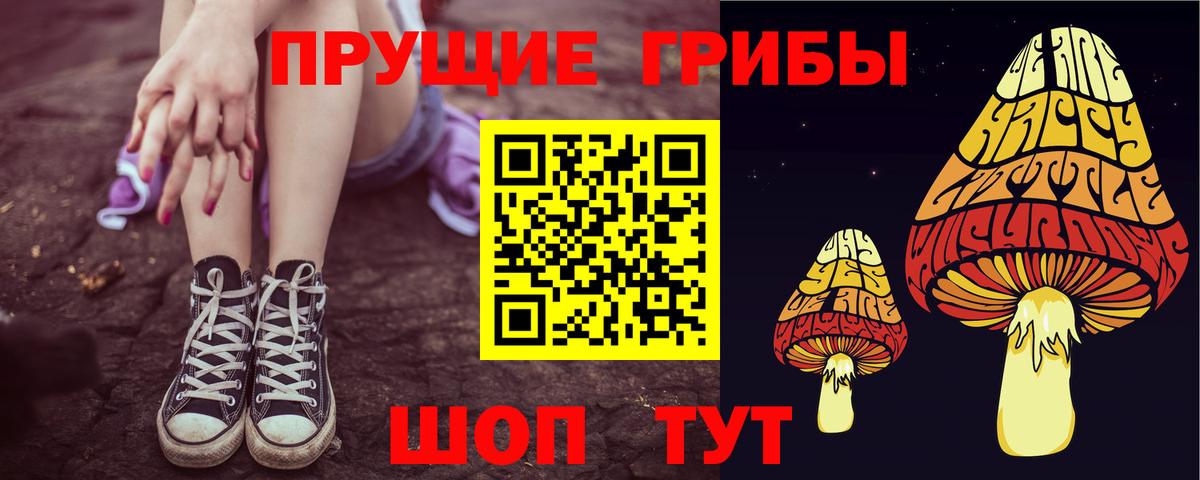 Псилоцибиновые грибы MAGIC MUSHROOMS Березники